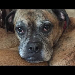 Meet your Posher, Katherine